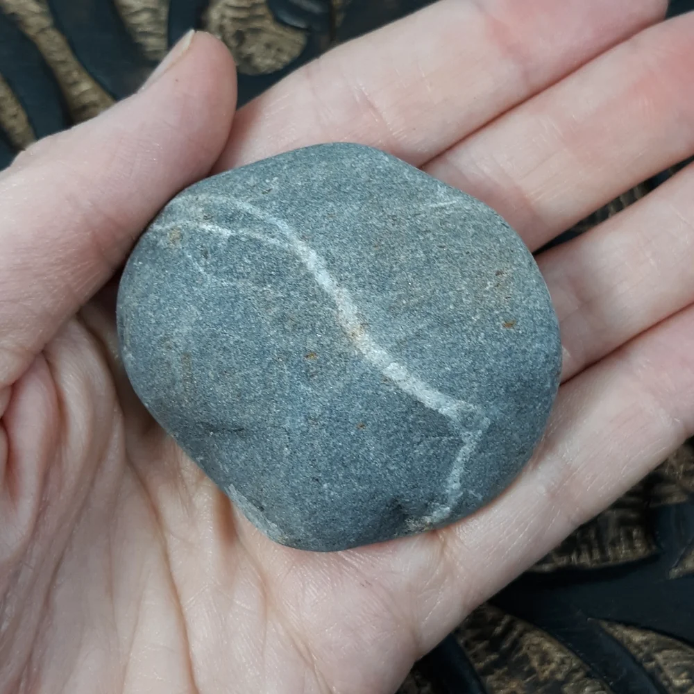 5 Banded Stones East Coast Beach Rocks Raw Rough Mineral Specimens Gray White